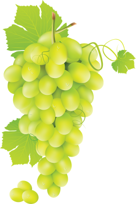 cluster of grapes - Pixabay