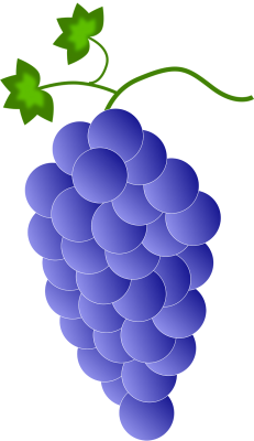 Grape Cluster - ai generated - Pixabay