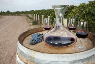 decanter of wine on wine barrel and vineyard in background 