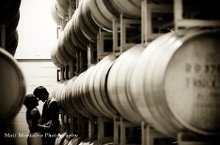 wine barrels in racks