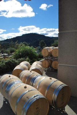 wine barrels