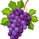 grape cluster - Pixabay
