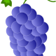 Wine Grapes - Pixabay