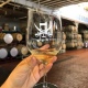 Glass of white wine at Treasure Island Wines