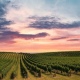 clouds in the sky at sunset over the vineyard - Pixabay
